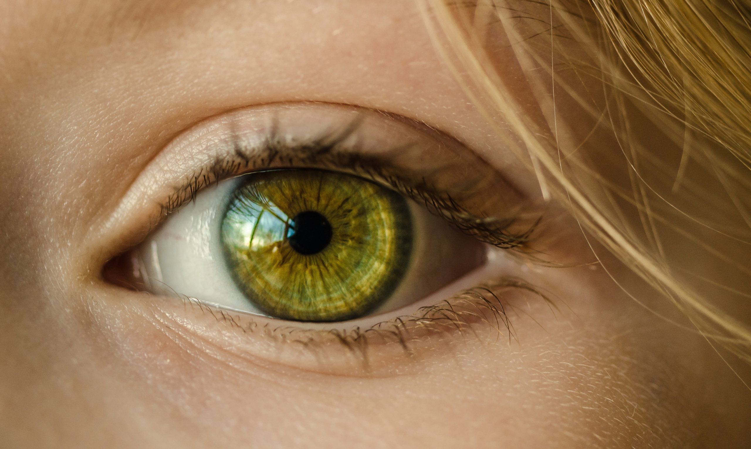 5 Foods to Boost Your Eye Health