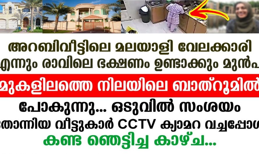 ജോലിക്ക് പോയ ഒരു മലയാളി യുവതി ചെയ്തത് കണ്ടോ മലയാളികളെ ഒന്നടങ്കം തലതാഴ്ത്തുന്ന ഒരു സംഭവം