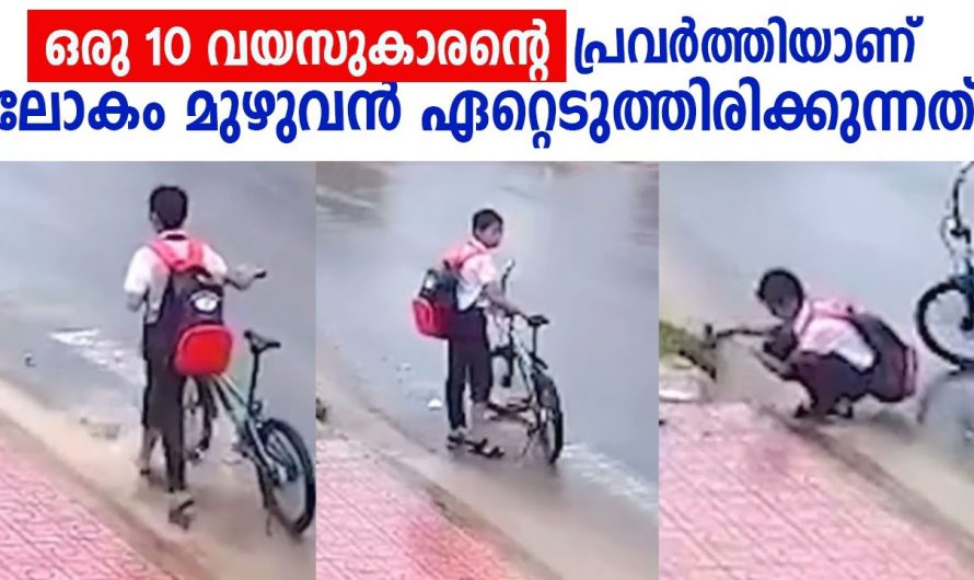 ഈ ചെറുപ്രായത്തിൽ തന്നെ അവൻ ചെയ്തത് കണ്ടോ നന്മ ചെയ്യാൻ പ്രായം വേണ്ട എന്നുള്ളതാണ് ഇവിടെ കാണുന്നത്