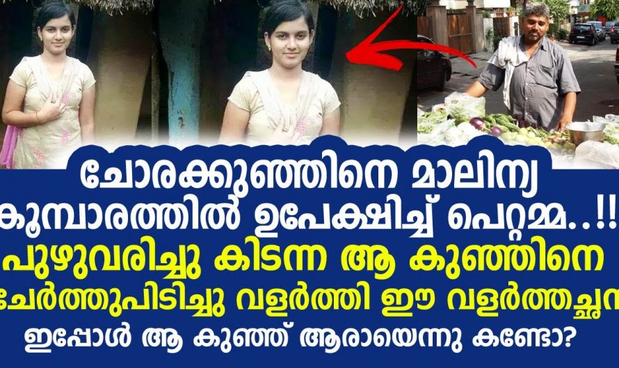 അന്ന് കുപ്പത്തൊട്ടിയിൽ പുഴുവരിച്ച കിടന്ന് ആ കുഞ്ഞ് ഇന്നത്തെ ജീവിതം കണ്ട് അമ്പരന്ന് സോഷ്യൽ ലോകം