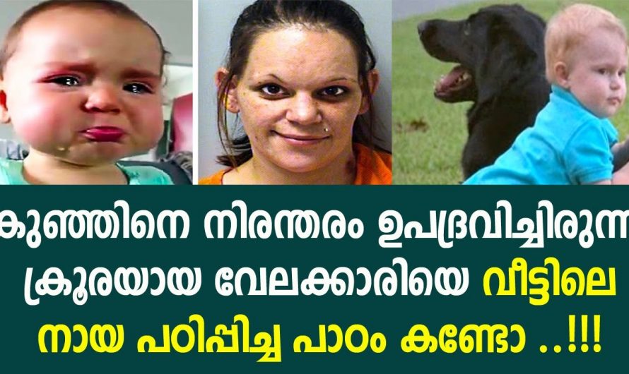 മനസ്സാക്ഷിയില്ലാത്ത ഈ സ്ത്രീ ആ കുഞ്ഞിനെ ഉപദ്രവിച്ചത് കണ്ടത് കണ്ടോ