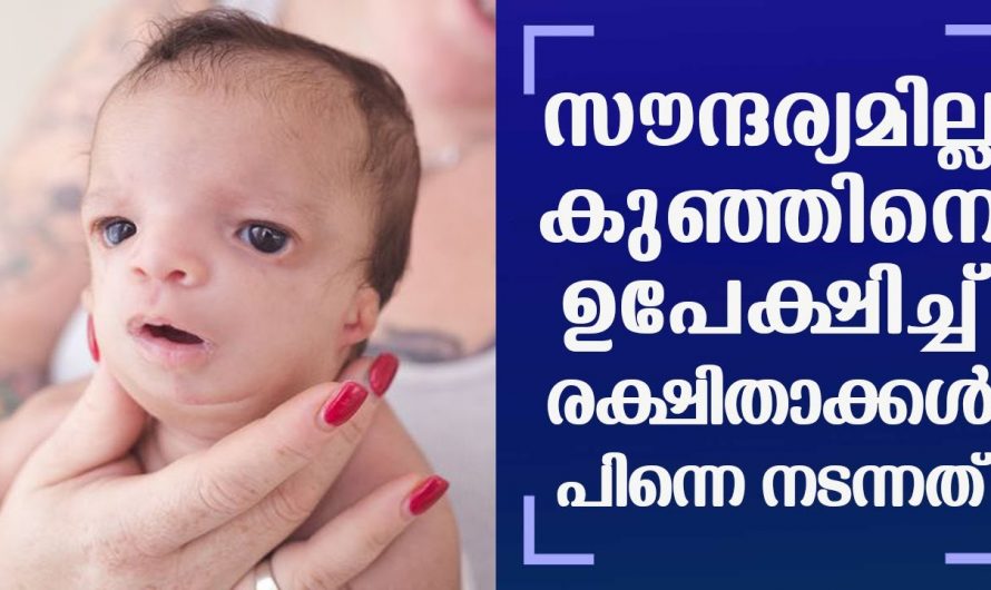 നൊന്തു പ്രസവിച്ച കുഞ്ഞിനെ ദത്തെടുക്കാൻ മറ്റു ദമ്പതികൾ എന്നാൽ സംഭവിച്ചത് കണ്ട് ഞെട്ടി സോഷ്യൽ ലോകം