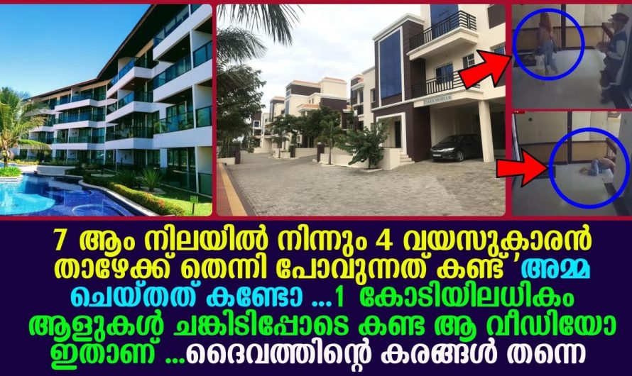 നെഞ്ചിടിപ്പോടുകൂടി കാണേണ്ട ഒരു കാഴ്ച അമ്മയുടെ കരുതൽ എന്നു പറയുന്നത് ഇതുതന്നെയാണ്