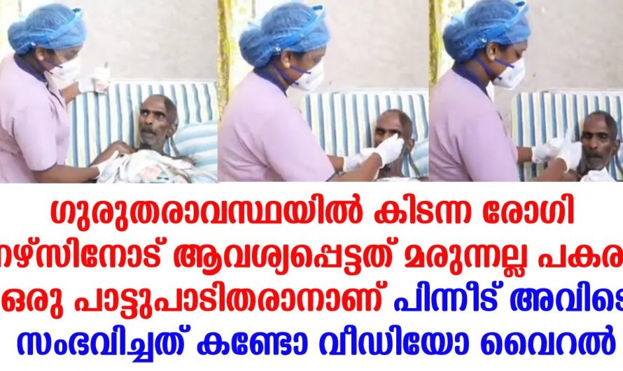 ഭൂമിയിലെ കാവൽ മാലാഖമാർ എന്നു പറയുന്നത് ഇവർ തന്നെയാണ് ഗുരുതരാവസ്ഥയിൽ കിടക്കുന്ന രോഗിയോട് ആ നേഴ്സ് ചെയ്തത് കണ്ടോ