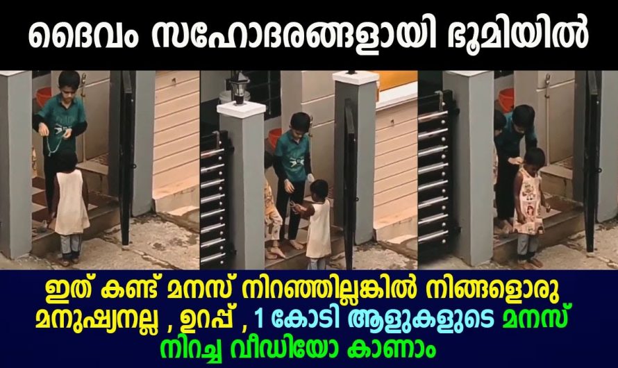 ചില പ്രവർത്തികൾ അങ്ങനെയാണ് നമ്മുടെ കണ്ണുകൾ നിറയ്ക്കുന്ന അത്രയ്ക്കും സന്തോഷം നമുക്ക് തോന്നും അത്തരത്തിലുള്ള ഒരു കാഴ്ചയാണ് ഇത്