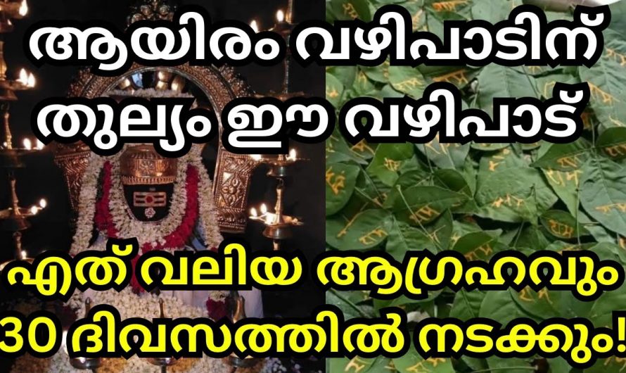 ഈയൊരു വഴിപാട് മാത്രം ചെയ്തു നോക്കൂ നിങ്ങളുടെ ഏത് ആഗ്രഹവും സാധിച്ചു കിട്ടുന്നതാണ്