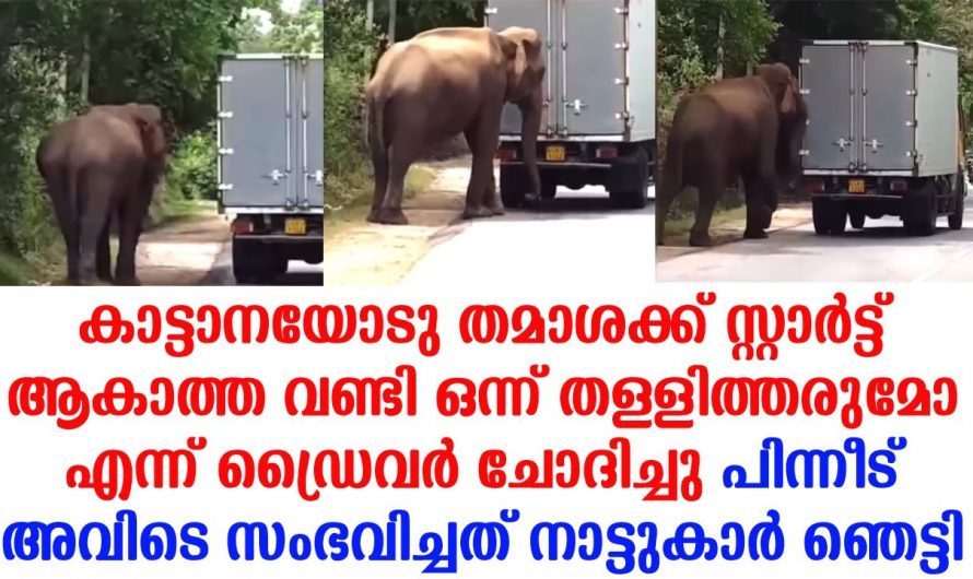 നിന്നുപോയ വാഹനം ഉന്തി  കൊടുത്ത് സ്റ്റാർട്ട് ആക്കിയ കാട്ടാനയാണ് ഇന്നത്തെ ഹീറോ