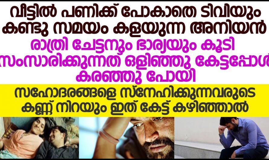 ജോലിയില്ലാത്ത അനുജനോട് ആ ചേട്ടനും ചേച്ചിയും ചെയ്തത് കണ്ടോ