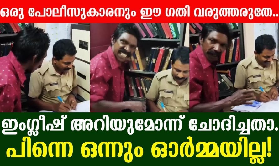 മൂർഖൻ പാമ്പിൻ ആണല്ലോ കേറി ചവിട്ടിയത് എന്ന ഡയലോഗ് ഇവിടെ പ്രാപ്തമാണ് ആരായാലും ഈ വീഡിയോ അല്പം നേരം ഒന്ന് നോക്കി ഇരിക്കും