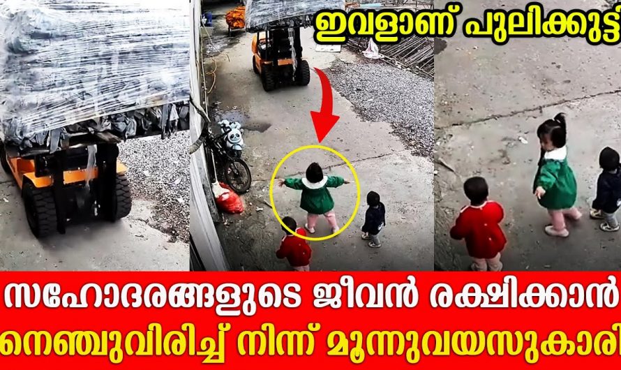 ആ കുഞ്ഞു സഹോദരന്മാരുടെ മുൻപിലേക്ക് വന്ന വണ്ടിയുടെ മുൻപിലേക്ക് ചാടി ആ ചേച്ചി പിന്നീട് ചെയ്തത് കണ്ടോ