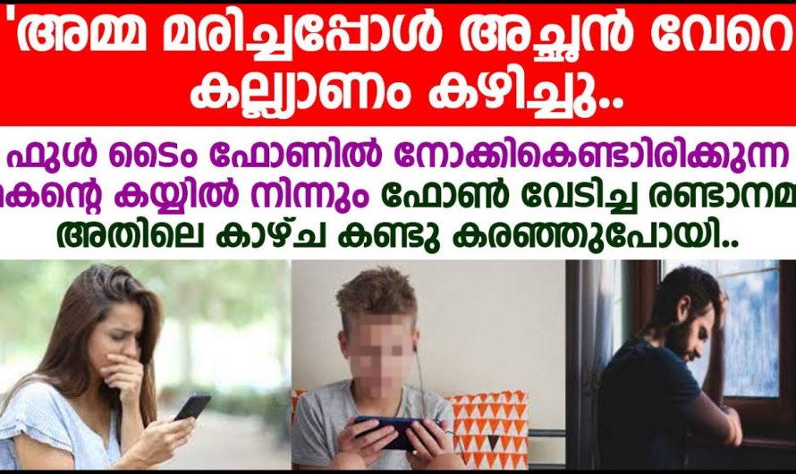 അമ്മയോട് മകൻ സംസാരിച്ചുകൊണ്ടിരിക്കുമ്പോൾ അവിടെ നടന്നത് ഞെട്ടിക്കുന്ന കാര്യങ്ങൾ
