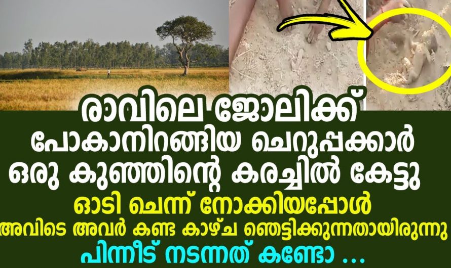 പിഞ്ചു കാൽ മാത്രം പുറത്ത് ശരീരം മണ്ണിനടിയിലുമായി ഒരു കുഞ്ഞു ശരീരം ക്രൂരമായ സംഭവം നടന്നത് നമ്മുടെ ഇന്ത്യയിലും