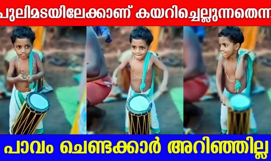 മുതിർന്നവർക്കിടയിലും ചെണ്ട കൊട്ടാനായി ആ മൂന്നോ നാലോ വയസ്സുള്ള ചെറിയ കുട്ടി പിന്നീട് അവിടെ നടന്നത് ആരെയും ഞെട്ടിക്കുന്നത്