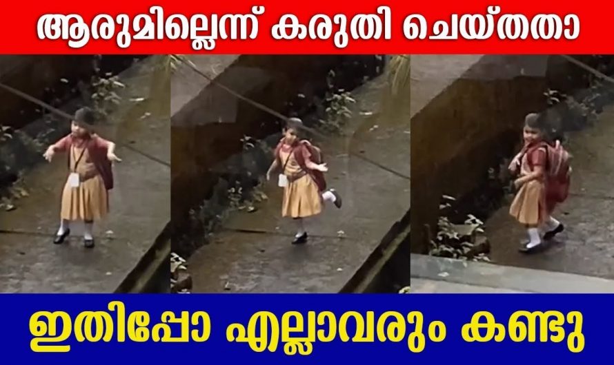 സന്തോഷമല്ലേ നിങ്ങൾ എന്തു ചെയ്യും പക്ഷേ ഈ കുഞ്ഞ് കണ്ടോ