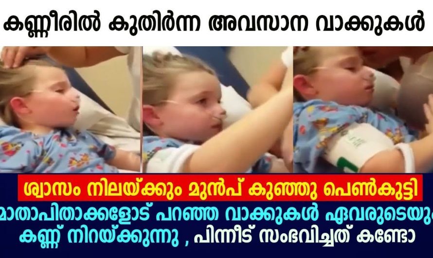 സ്വർഗ്ഗം കണ്ട ആ പെൺകുട്ടി തിരിച്ച് മാതാപിതാക്കളുടെ അടുത്തേക്ക് ജീവനോടെ വന്നപ്പോൾ
