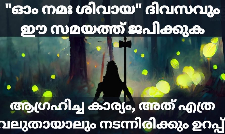 ശിവ ഭഗവാന്റെ ഈ ഒറ്റ മന്ത്രം ജപിച്ചു നോക്കൂ ജീവിതത്തിലെ അത്ഭുതങ്ങൾ നിങ്ങൾക്ക് തന്നെ കാണാം