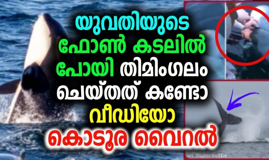 സുഹൃത്തുക്കളുടെ കറങ്ങാൻ ഇറങ്ങിയ യുവതിയുടെ മൊബൈൽ ഫോൺ കടലിൽ പോയി ശേഷം ഉണ്ടായത് കണ്ടോ