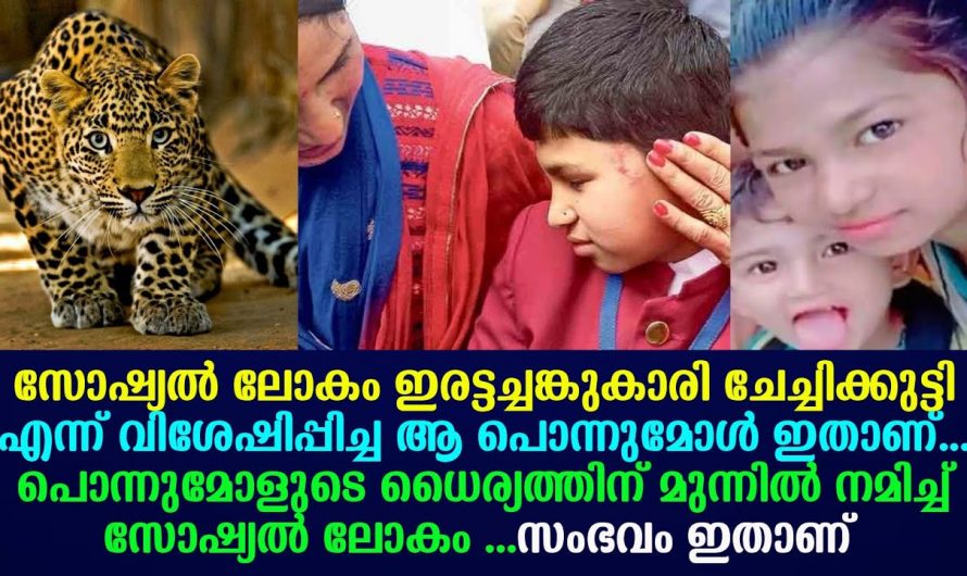 സ്വന്തം അനുജനെ പുലി ആക്രമിക്കാൻ വന്നപ്പോൾ നേരിട്ടത് ആ ചേച്ചി
