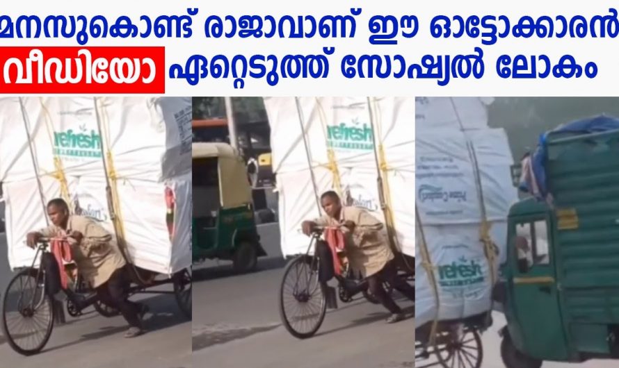ആരും സഹായത്തിന് ഇല്ലാത്തവർക്ക് ദൈവം തുണ എന്നു പറയുന്നതുപോലെയാണ് ഈയൊരു സംഭവം
