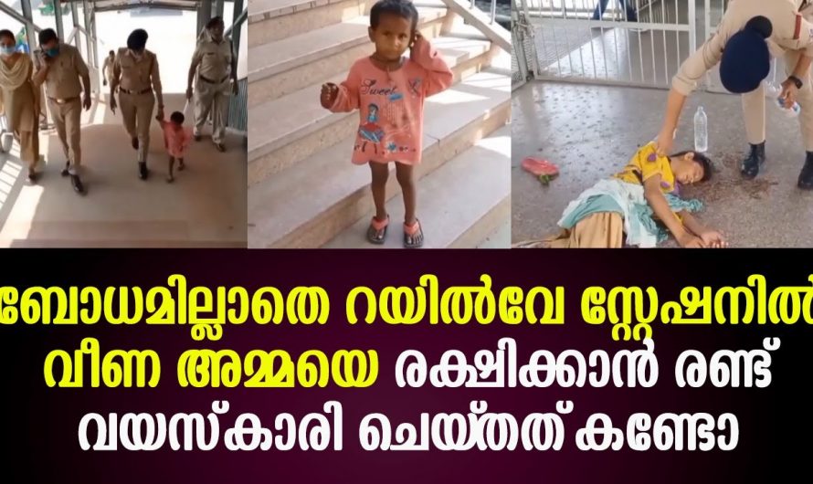 പ്ലാറ്റ്ഫോമിൽ ബോധമില്ലാതെ കിടക്കുന്ന അമ്മ എന്നാൽ രണ്ടു വയസ്സുള്ള ആ കുഞ്ഞ് ചെയ്തത് കണ്ടോ