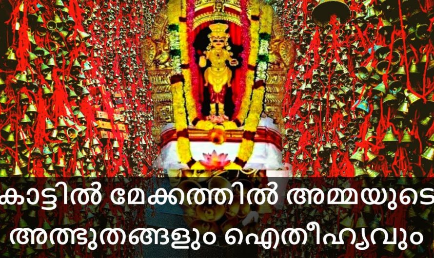 ക്ഷേത്രത്തെക്കുറിച്ച് അറിയാതെ പോകരുത് അത്ഭുതങ്ങൾ നടക്കുന്ന വലിയ ഒരു ക്ഷേത്രം തന്നെ