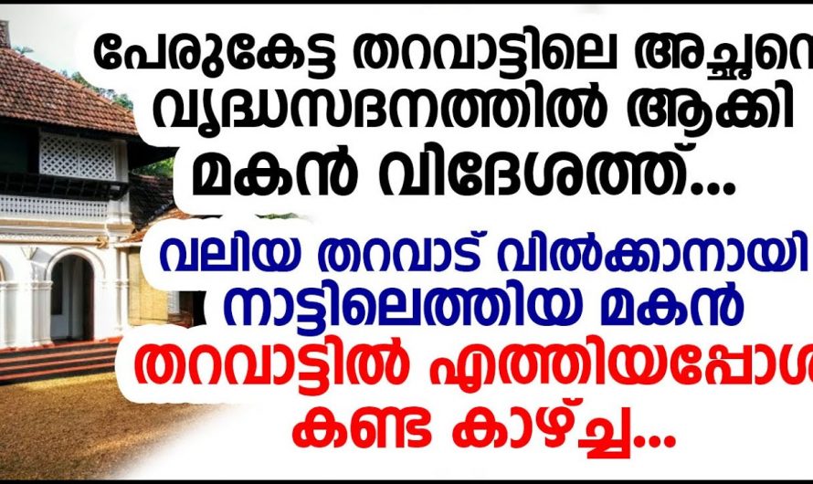 അച്ഛനെ അനാഥാലയത്തിൽ ഉപേക്ഷിച്ച് ആ സഹോദരനും സഹോദരിയും പക്ഷേ പിന്നീട് ഉണ്ടായത് കണ്ടോ