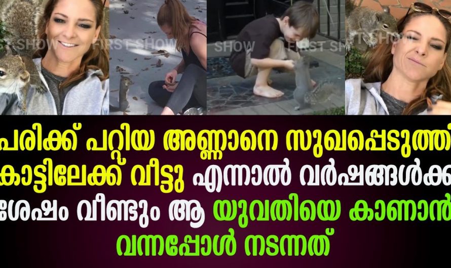 പരിക്ക് പറ്റിയ അണ്ണാനെ സുഖപ്പെടുത്തി ആ വീട്ടുകാർ പക്ഷേ തിരിച്ചുവന്ന അണ്ണാൻ എന്തൊക്കെയോ പറയുന്നുണ്ടായിരുന്നു പിറ്റേദിവസം അവർ കണ്ട കാഴ്ച കണ്ടോ