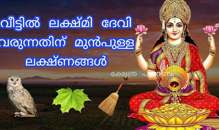നിങ്ങൾക്ക് ഇത്തരത്തിലുള്ള ലക്ഷണങ്ങൾ അനുഭവപ്പെടാറുണ്ടോ എന്നാൽ ലക്ഷ്മിദേവി നിങ്ങളുടെ കൂടെയുണ്ട് എന്ന് വേണം കരുതാൻ