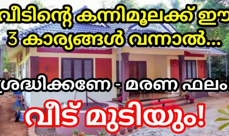 നിങ്ങളുടെ വീടിന്റെ കന്നിമൂലയിൽ ഈ പറയുന്നവ ഉണ്ടോ എന്നാൽ തീർച്ചയായും സൂക്ഷിക്കുക