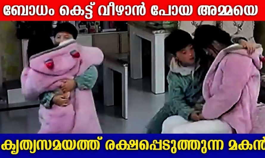 ബോധരഹിതയായ അമ്മയെ രക്ഷിക്കാനായി ആ മകൻ ചെയ്തത് കണ്ടോ