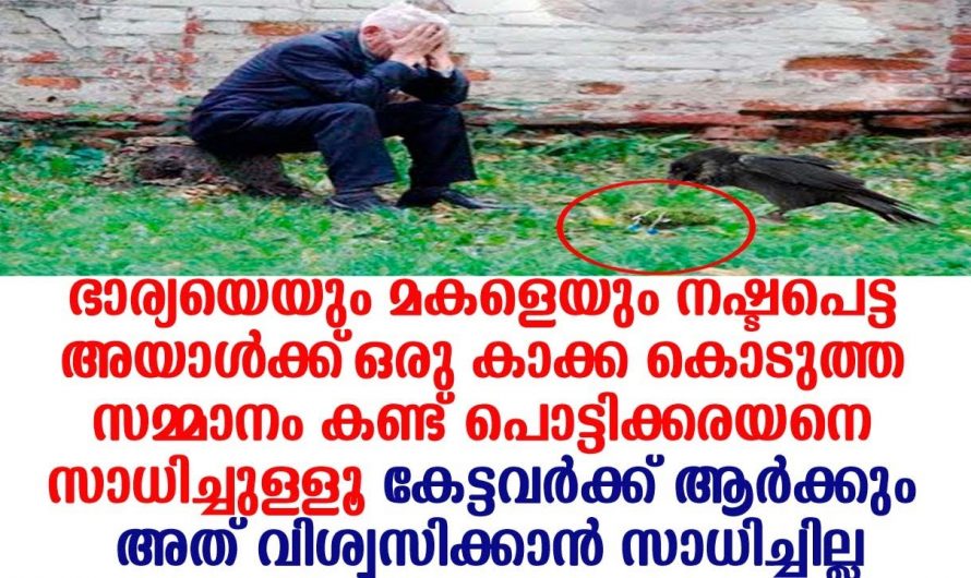 ജീവിതത്തിൽ ഒറ്റപ്പെട്ട ആ മനുഷ്യന് പിന്നീട് സംഭവിച്ചത് കണ്ടോ