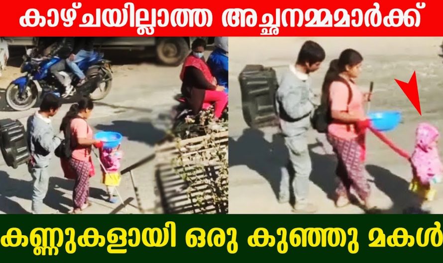 കണ്ണ് കാണാൻ കഴിയാത്ത ആ മാതാപിതാക്കളെയും കൊണ്ട് മൂന്നു വയസ്സുള്ള ആ കുഞ്ഞ് ചെയ്യുന്നത് കണ്ടോ