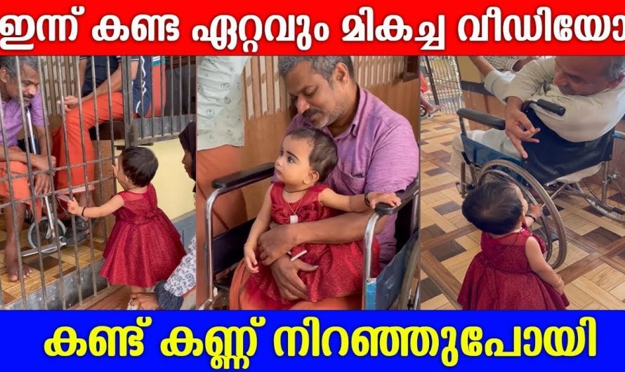 ആ കുഞ്ഞിന്റെ ഒന്നാം പിറന്നാൾ ആഘോഷിച്ചത് ഇവർക്കൊപ്പം നിങ്ങൾ അത് കണ്ടാൽ ഞെട്ടുന്നതാണ്