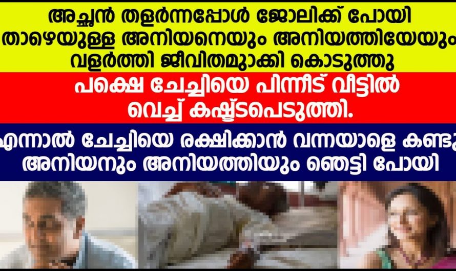 എല്ലാവർക്കും വേണ്ടി കഷ്ടപ്പെട്ട ആ ചേച്ചിക്ക് ഇന്ന് സംഭവിച്ചത് കണ്ടോ