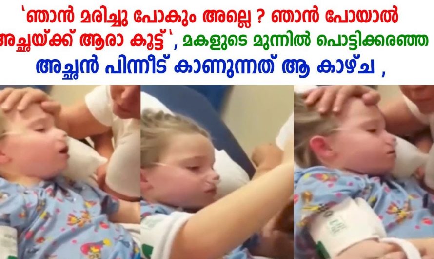 സന്തോഷവും സങ്കടവും അത്ഭുതവും തോന്നുന്ന ഒരു വീഡിയോ കണ്ടാൽ നിങ്ങൾ തന്നെ ഞെട്ടും