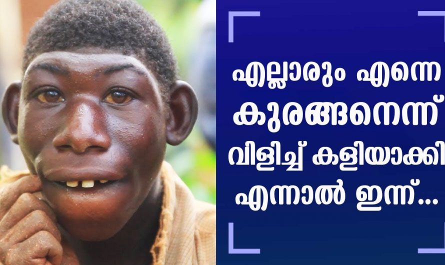 കാഴ്ചയിൽ ഒരു കുരങ്ങൻ എന്ന നിലയിൽ ഉണ്ടായിരുന്ന അവനെ നാട്ടുകാർ എല്ലാവരും കാട്ടിലേക്ക് ഓടിപ്പിച്ചു പിന്നീട് അവനെ സംഭവിച്ചത് കണ്ടോ