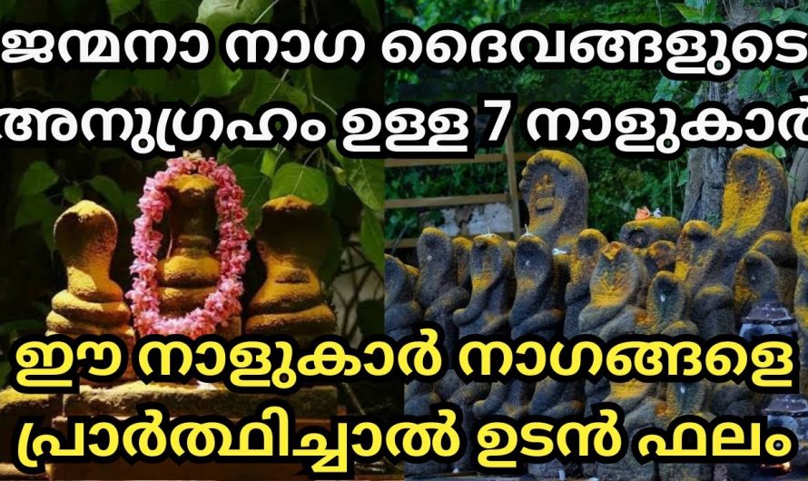 നാഗങ്ങൾക്ക് പ്രത്യേകിച്ച് ഈ നക്ഷത്രക്കാർ വഴിപാടുകൾ ചെയ്യുന്നത് ഏറ്റവും ഉത്തമം