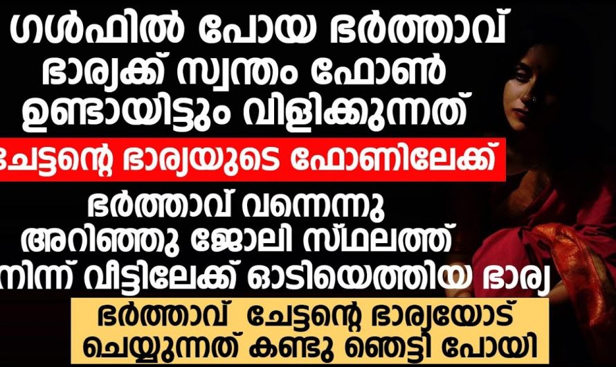 വിവാഹം കഴിഞ്ഞ് ചെന്നപ്പോഴാണ് ആ വീട്ടിലെ ഓരോ ആളുകളെയും അവൾ മനസ്സിലാക്കിയത് പിന്നീട് ഉണ്ടായത് കണ്ടോ