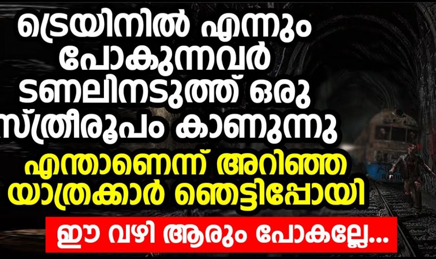 ജപ്പാനിൽ ഏവരെയും പേടിപ്പെടുത്തുന്ന ഒരു ടണൽ ഉണ്ടെന്ന് നിങ്ങൾക്കറിയാമോ? ഇല്ലെങ്കിൽ ഇത് കാണൂ…