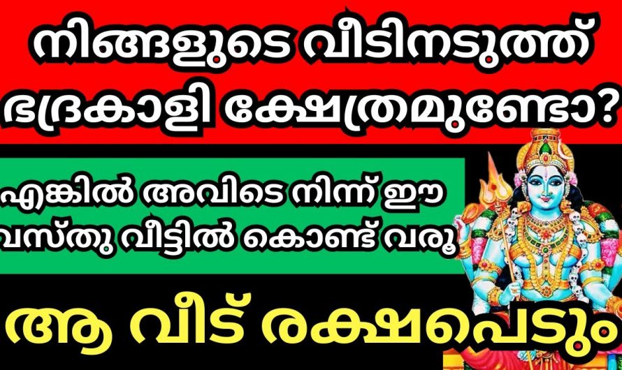 മകരമാസത്തിൽ ഭദ്രകാളിക്ക് നടത്തേണ്ട വഴിപാടുകൾ എന്തെല്ലാം എന്ന് നിങ്ങൾക്കറിയേണ്ടേ…