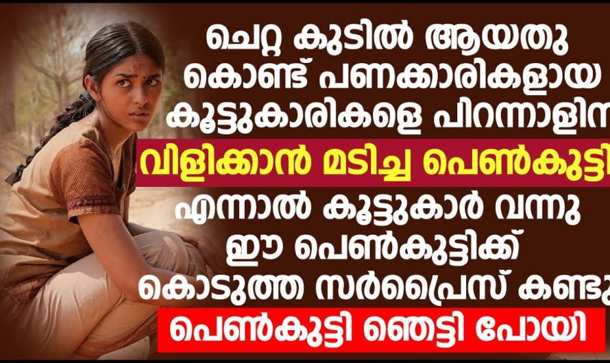 വീടില്ലാത്ത കൂട്ടുകാരിക്ക് സുഹൃത്തുക്കൾ നൽകിയ പിറന്നാൾ സമ്മാനം എന്താണെന്ന് കാണേണ്ടേ…