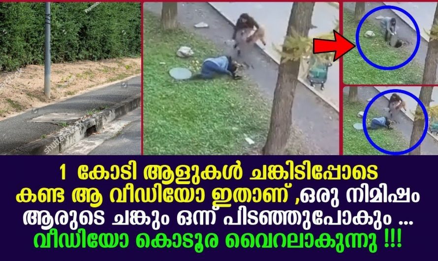 ജീവനുവേണ്ടി പിടഞ്ഞ കുഞ്ഞിനെ നിഷ്പ്രയാസം രക്ഷപ്പെടുത്തി അമ്മ…