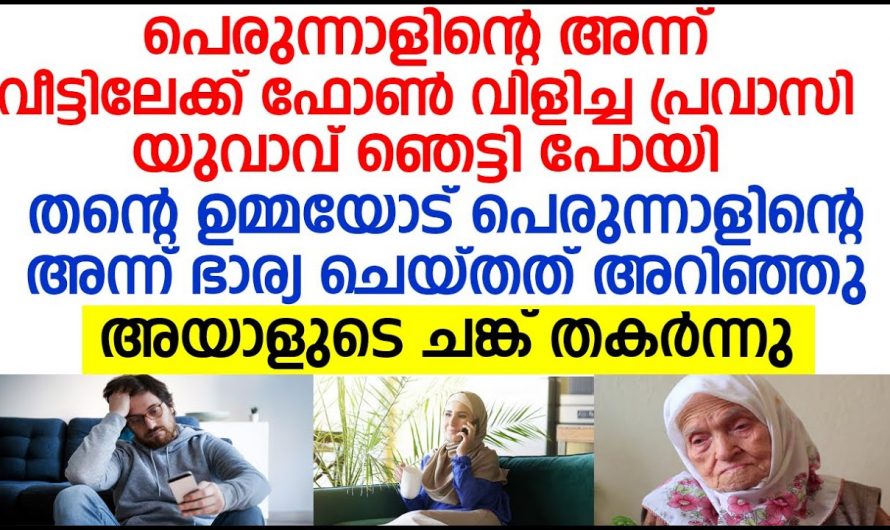 പെരുന്നാളിന് വീട്ടിലേക്ക് വിളിച്ച പ്രവാസിയുടെ മനം തകർക്കുന്ന കഥ നിങ്ങൾക്ക് അറിയേണ്ടേ…
