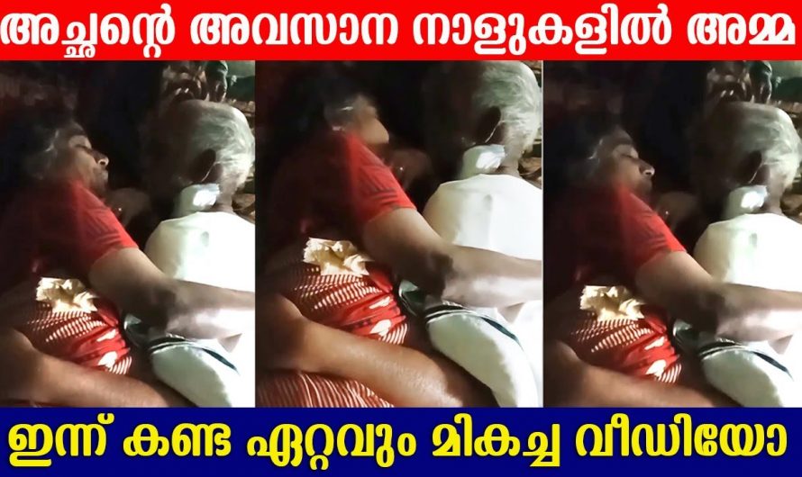 കാണികളുടെ കരളലിയിക്കുന്ന ഈ സ്നേഹബന്ധം കണ്ടോ? നിങ്ങളും കാണാൻ മറക്കല്ലേ…