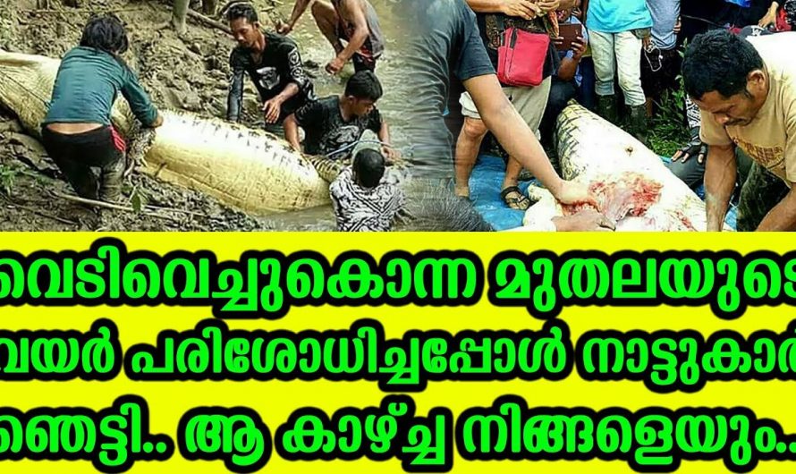നാട്ടിൽ കാണാതായ വ്യക്തിയുടെ തിരോധാനത്തിൽ പങ്ക് മുതലക്ക്. സംഭവം വൈറൽ…