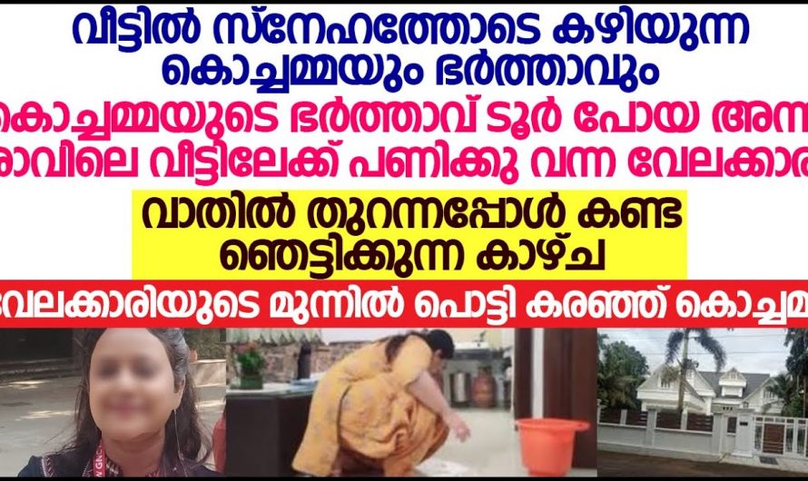 വലിയ ഫ്ലാറ്റിൽ ജോലിക്ക് ചെന്ന കോളനിയിലെ വേലക്കാരിക്ക് കാണേണ്ടിവന്ന കാഴ്ചകൾ എന്തെല്ലാം എന്നറിയേണ്ടേ…