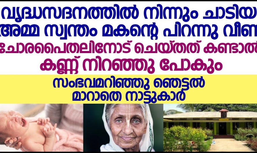 വൃദ്ധസദനത്തിൽ നിന്നും ചാടി പോന്ന അമ്മ മകൻറെ കുഞ്ഞിനോട് ചെയ്ത ക്രൂരത എന്താണെന്ന് അറിയേണ്ടേ…