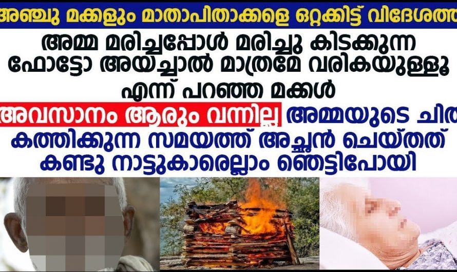 അമ്മയുടെ ചിത കത്തിക്കാൻ പോലും സമയമില്ലാത്ത മക്കൾ. ചിതയിൽ ചാടി മരിച്ച അച്ഛൻ…