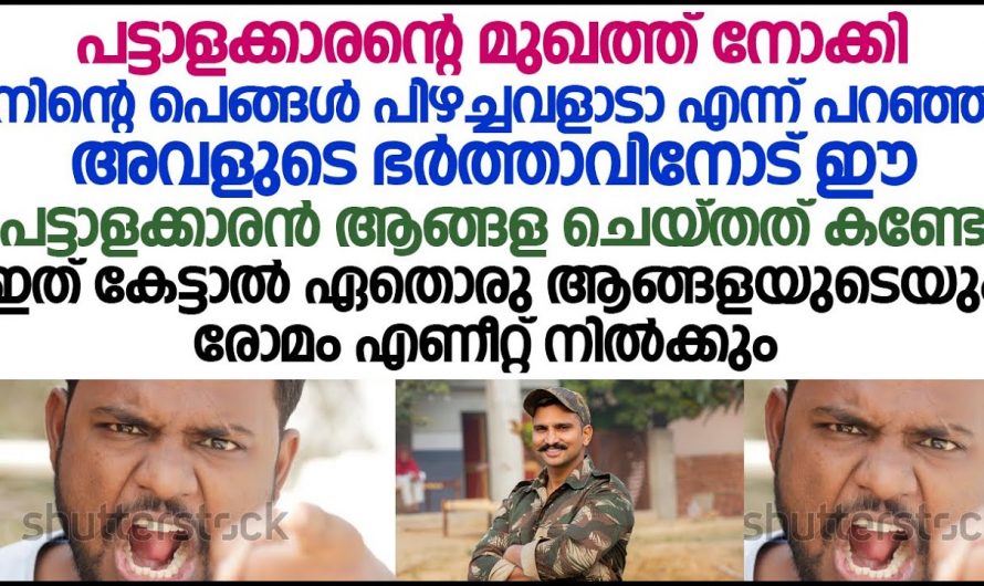 പെങ്ങളെ ഉപദ്രവിച്ച അളിയനെ വാക്കിൻറെ മുൾമുനയിൽ നിർത്തിയ പട്ടാളക്കാരൻ…