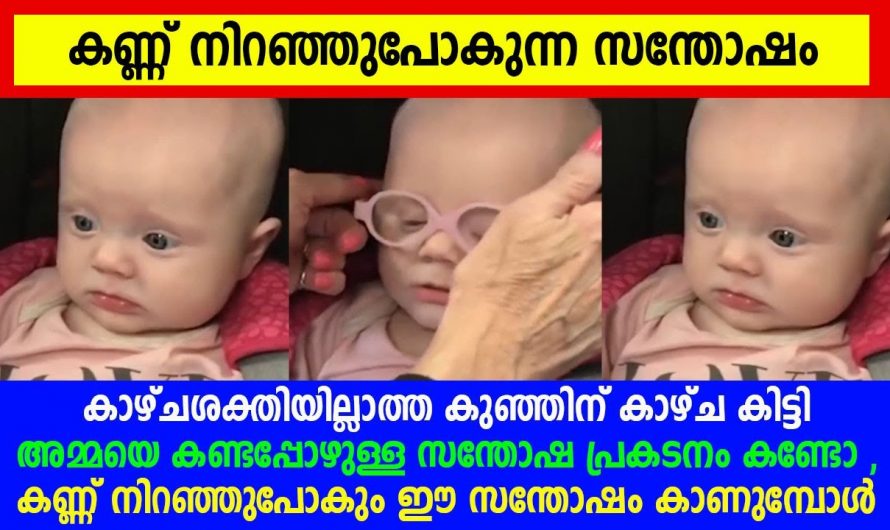 ജീവിതത്തിൽ ആദ്യമായി അമ്മയെ കണ്ടപ്പോൾ ഉള്ള ആ കുഞ്ഞി ചെക്കന്റെ ചിരി കണ്ടോ…